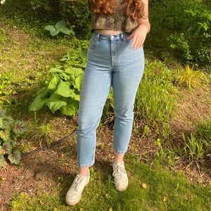 NEW—- EVERLANE Cheeky Straight Jeans!!!